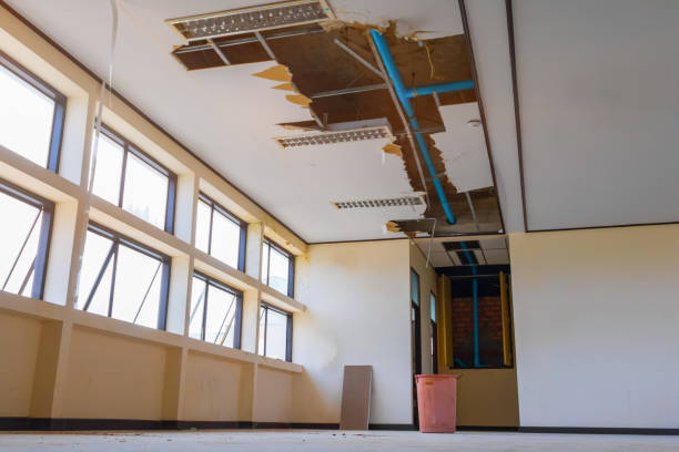 Best Water damage restoration near me  in East Milton, FL