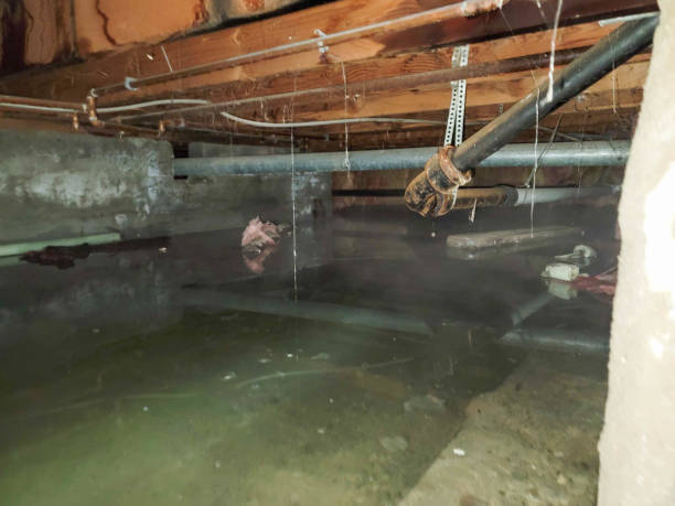 Best Water damage restoration near me  in East Milton, FL