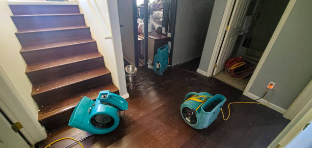 Best Flood damage cleanup  in East Milton, FL