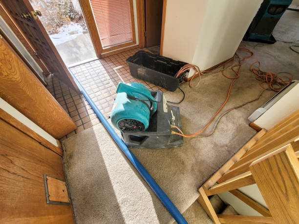 Best 24/7 water damage repair  in East Milton, FL
