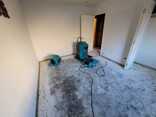Best Mold removal after water damage  in East Milton, FL