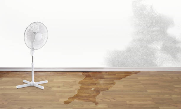 Best Sewage cleanup and water damage restoration  in East Milton, FL