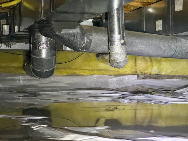 Best Professional water damage repair  in East Milton, FL