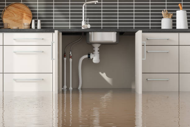 Best Water damage restoration insurance claims  in East Milton, FL